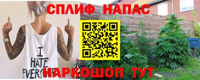 дмт Краснознаменск