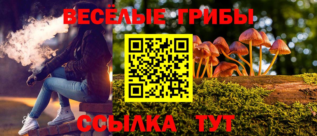 Каменск-Шахтинский  Галлюциногенные грибы прущие грибы  Вход с VPN 