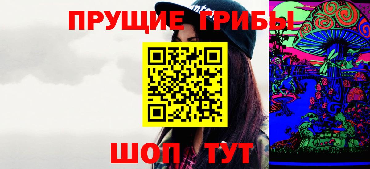 Псилоцибиновые грибы Cubensis Каменск-Шахтинский