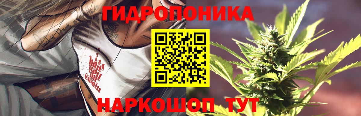 Конопля гибрид  Бошки Шишки гибрид  Каменск-Шахтинский  Вход с VPN  Конопля OG Kush  Конопля MAZAR 